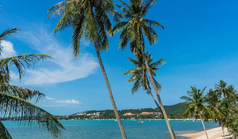 B House Samui Hotel Bang Rak Beach  Exterior foto